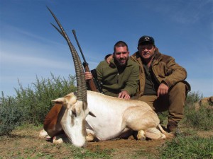 Scimitar Oryx 1